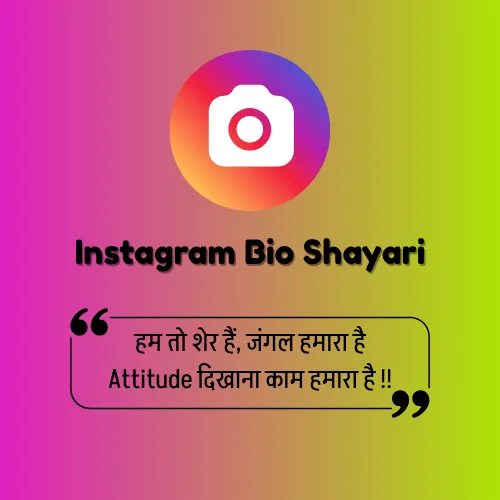 Instagram Bio Shayari Attitude