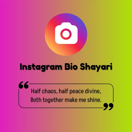 Instagram Bio Shayari in English