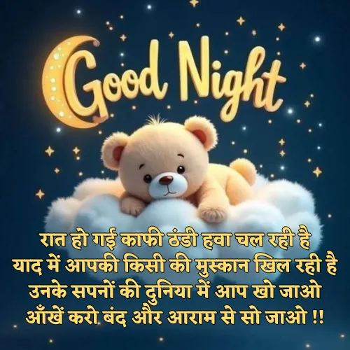 Beautiful Good Night Shayari