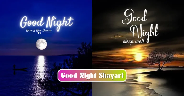 Good Night Shayari